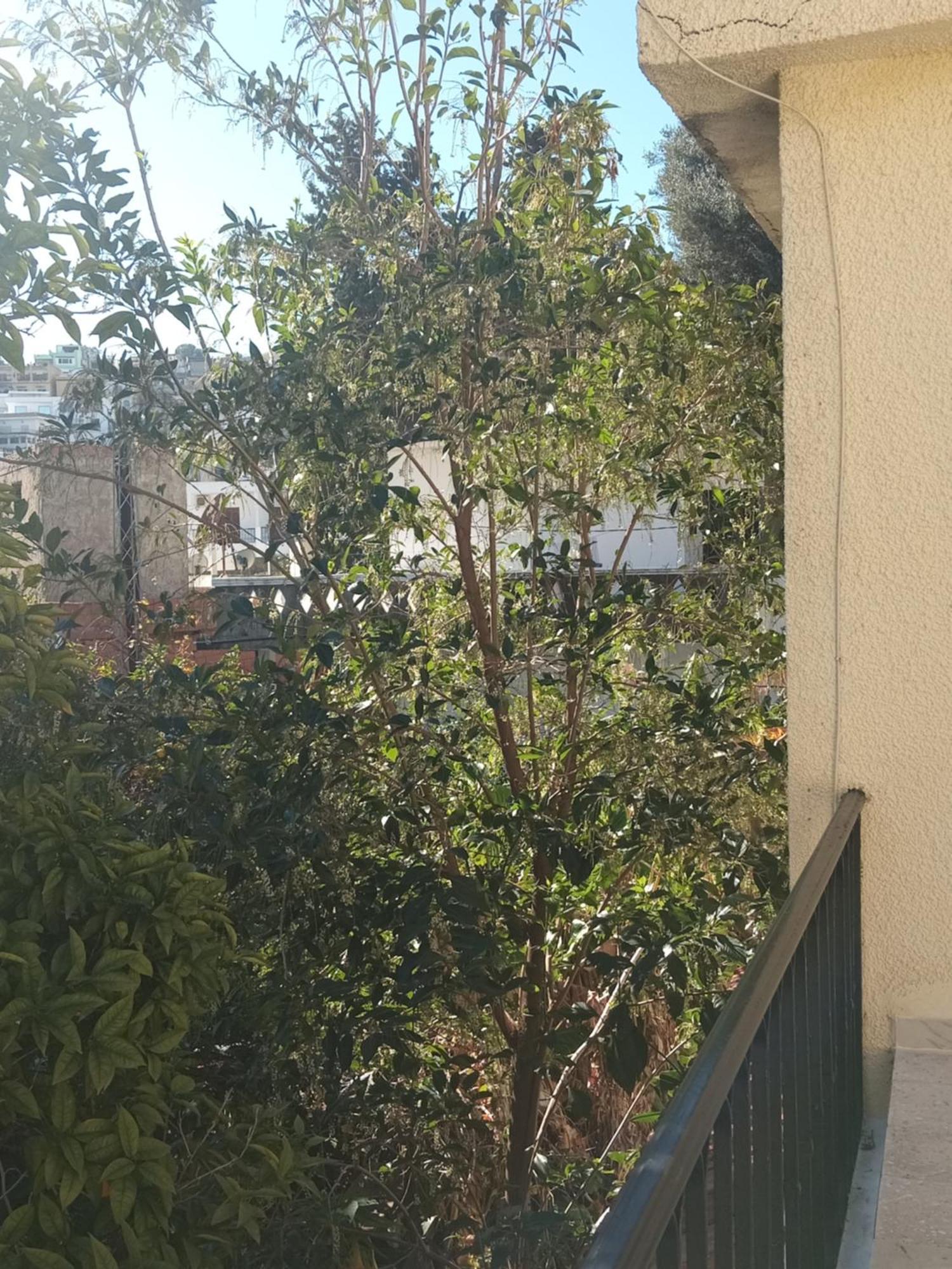 Maison De Vacances Табарка Екстер'єр фото